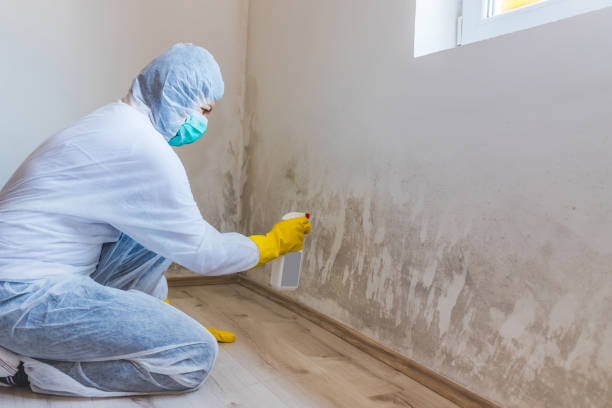 Hvac And Air Duct Mold Remediation inspection of HVAC system in Middleton