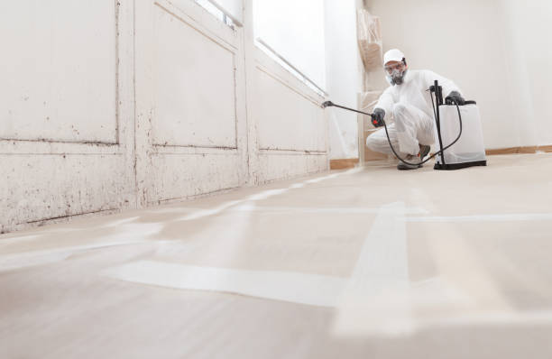 Post-remediation clearance in Middleton